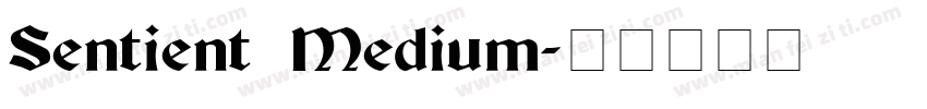 Sentient Medium字体转换